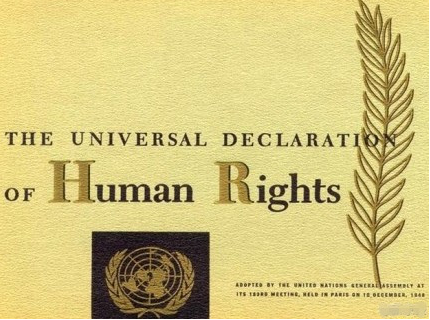 世界人权宣言