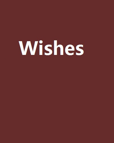 Wishes（小说）