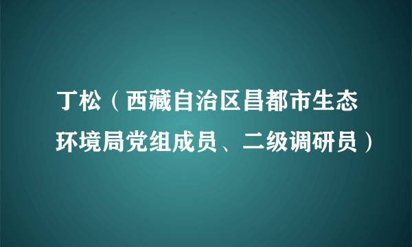 丁松（西藏自治区昌都市生态环境局党组成员、二级调研员）