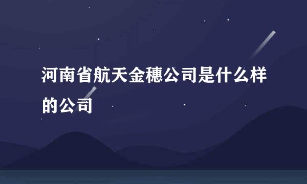 河南省航天金穗公司是什么样的公司