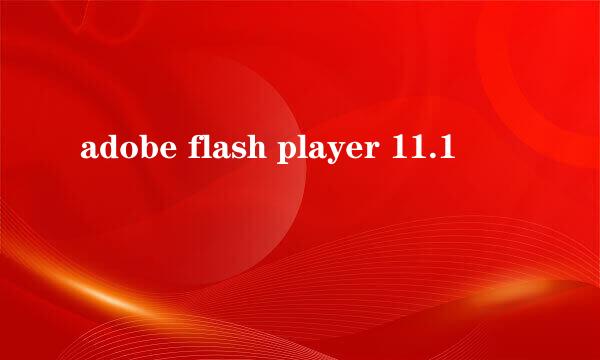 adobe flash player 11.1