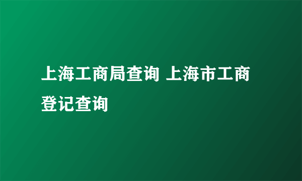 上海工商局查询 上海市工商登记查询