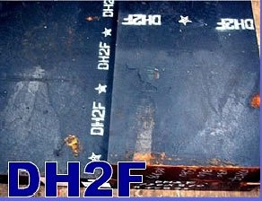 什么是DH2F